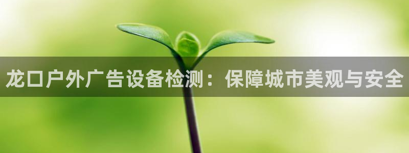 杏宇平台测速链接：龙口户外广告设备检测：保障城市美观与安全