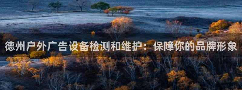 杏宇平台好吗：德州户外广告设备检测和维护：保障你的品牌形象