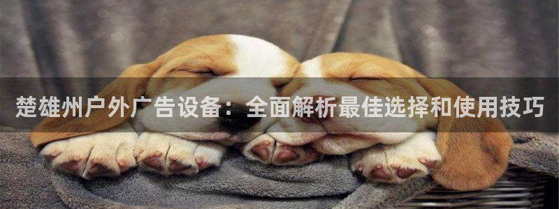 杏宇平台注册地址在哪里：楚雄州户外广告设备：全面解析最佳选择和使用技巧