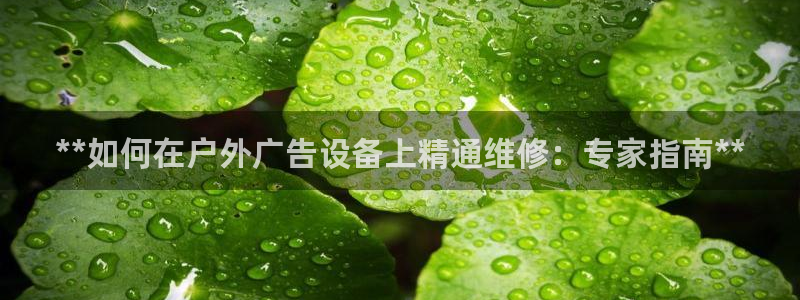 杏宇平台总代理是谁：**如何在户外广告设备上精通维修：专家指南**