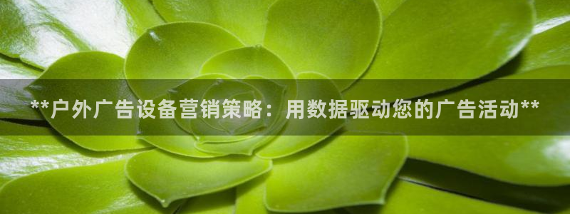 杏宇平台登录步骤是什么：**户外广告设备营销策略：用数据驱动您的广告活动**