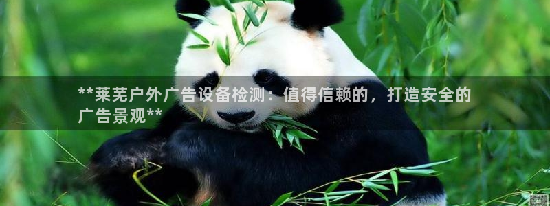 杏宇平台官网注册：**莱芜户外广告设备检测：值得信赖的，打造安全的
广告景观**