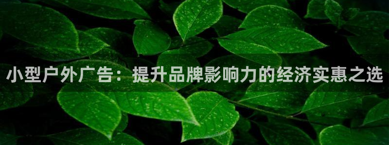 杏宇平台代理多少钱一次：小型户外广告：提升品牌影响力的经济实惠之选