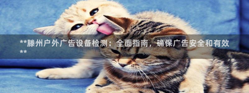 杏宇平台代理怎么样可靠吗：**滕州户外广告设备检测：全面指南，确保广告安全和有效
**