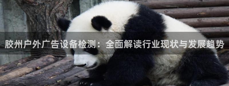 杏宇平台代理多少钱一次：胶州户外广告设备检测：全面解读行业现状与发展趋势