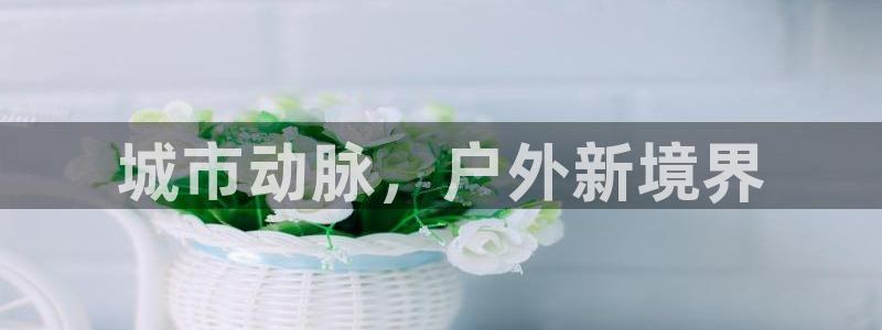 杏宇平台招商：城市动脉，户外新境界