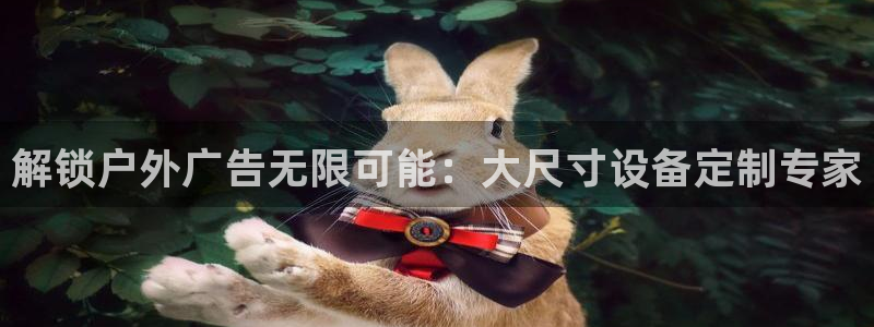 杏宇平台提现为什么这么久呢：解锁户外广告无限可能：大尺寸设备定制专家