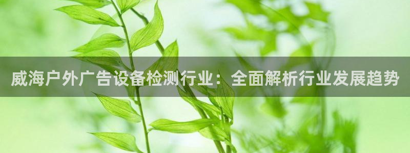 杏宇平台代理怎么赚钱的：威海户外广告设备检测行业：全面解析行业发展趋势