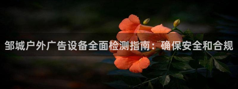 杏宇平台开户：邹城户外广告设备全面检测指南：确保安全和合规