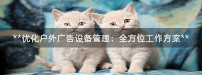 杏宇平台招商怎么样：**优化户外广告设备管理：全方位工作方案**