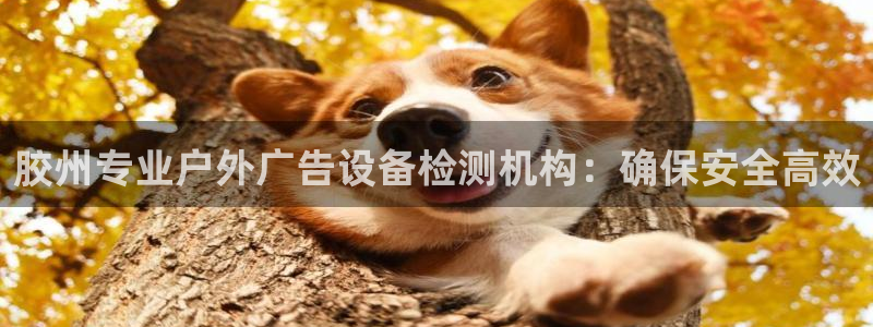 杏宇平台主管：胶州专业户外广告设备检测机构：确保安全高效
