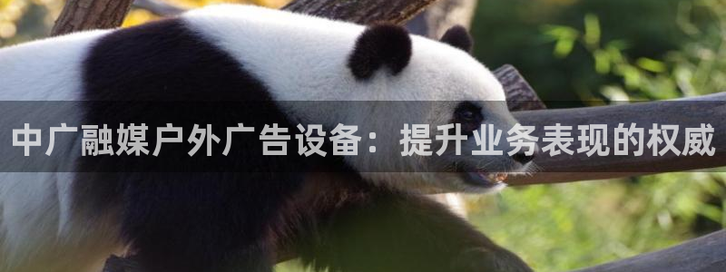 杏宇平台开户：中广融媒户外广告设备：提升业务表现的权威