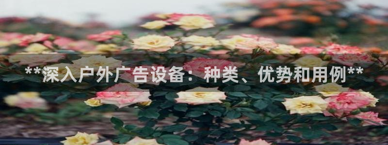 杏宇平台注册地址：**深入户外广告设备：种类、优势和用例**