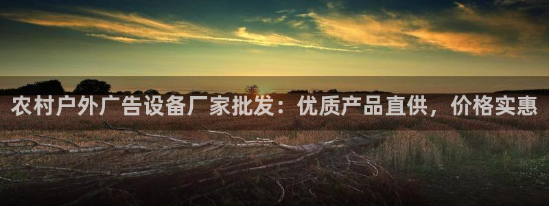 杏宇平台代理怎么样赚钱：农村户外广告设备
