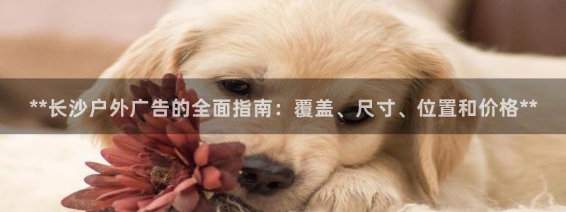 杏宇平台代理怎么样啊：**长沙户外广告的