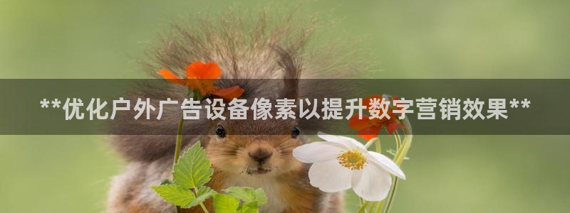 杏宇平台招商电话号码：**优化户外广告设