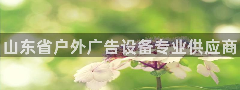 杏宇平台注册地址：山东省户外广告设备专业供应商