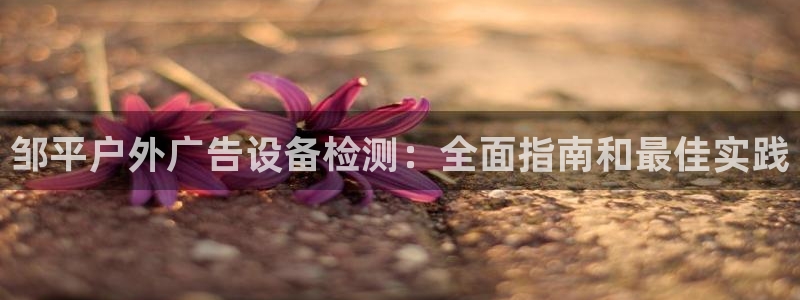 杏宇平台客服：邹平户外广告设备检测：全面