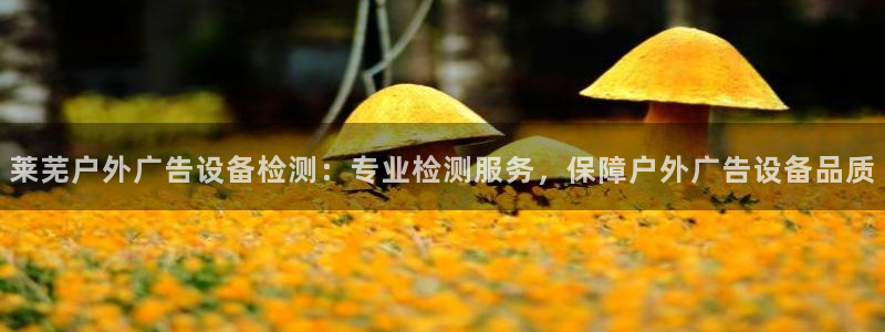 杏宇官方平台官网：莱芜户外广告设备检测：