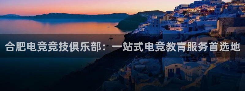 易游电竞：合肥电竞竞技俱乐部：一站式电竞教育服务首选地