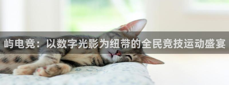 易游电竞官网