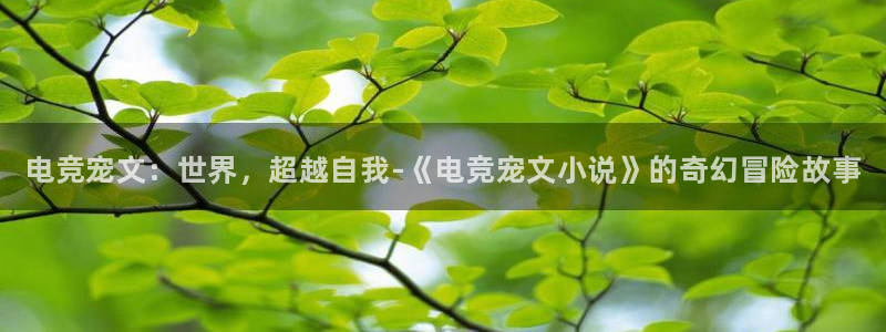 易游电竞