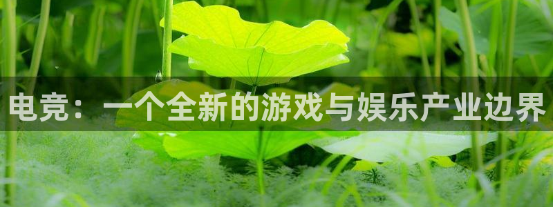 易游电竞官网