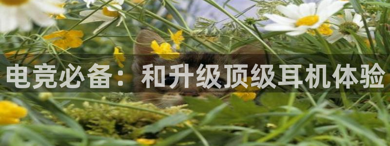 易游电竞官网