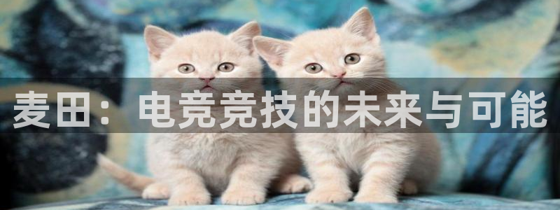 易游电竞