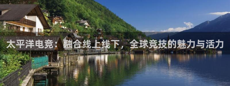 易游电竞官网